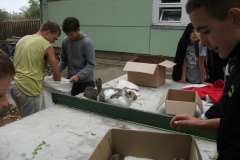 Állatok Világnapja 2012