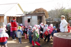 Állatok világnapja 2013