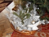 dscn1355