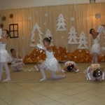 DSCF9571