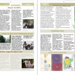 sulifirkasz-2-3-old_