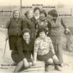 tsz-iroda-80-as-evek