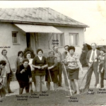 tsz-iroda-elott-80-as-evek