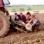 dohanyultetes-a-rendszervaltas-idejen