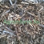 16215558_1313436812060316_530823279_n