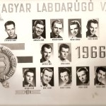 Magyar-Labdarúgó-válogatott