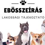 ebosszeiras-2026-1500×1000-1-768×512